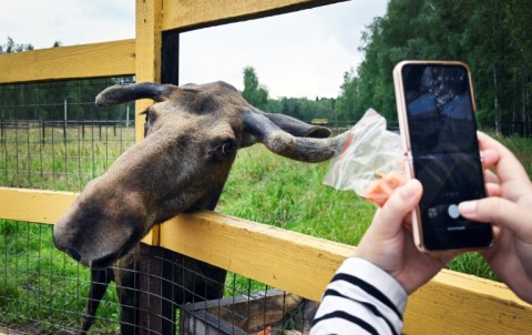 Putin visited the national park in 2010 and fed a baby elk with a bottle