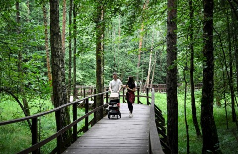 Russian law prohibits construction in national parks but local authorities got around it by arguing that the project consisted of 'repairs' to an existing road