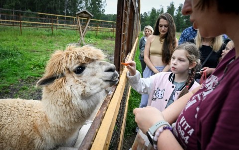 Despite the crackdown on dissent, activists opposed to the highway have sought to appeal to President Vladimir Putin to help their cause