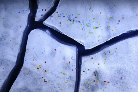 Microplastic is ubiquitous, found on the highest mountain peaks and in the deepest ocean trenches