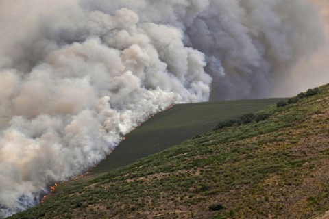 Spain and Portugal have been badly hit by a succession of heatwaves and drought, fuelling a wave of wildfires