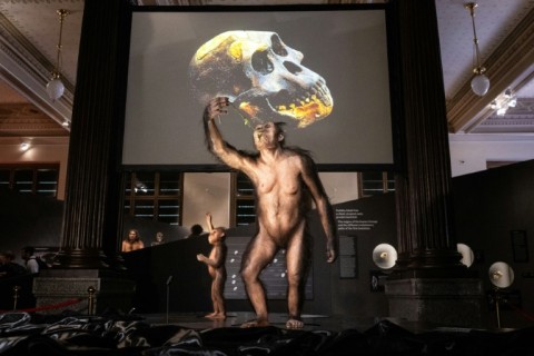 The fossils lent by Ethiopia's National Museum landed in Prague under stringent security measures