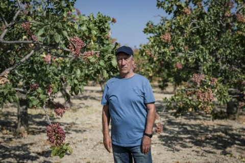 Kostas Peppas, 78, says climate change is largely to blame for the island's recent poor production