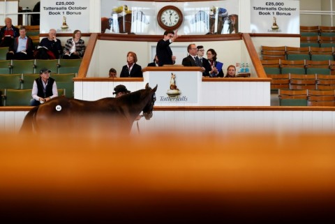 The tax will be another nail in the coffin for British racing whose best horses are already being bought at the sales by buyers from abroad breeder David Redvers told AFP