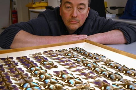 Thousands of species, including rare indicator specimens, were stolen in the mega-heist