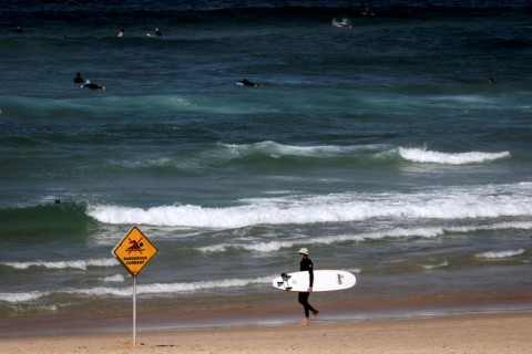 One day after a deadly shark attack in Sydney, surfers ride the waves at the city's Bondi Beach