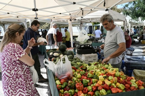 Greek farmers seek answers after a massive scam allegedly assisted by government officials