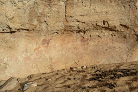 Tens of thousands of engravings and paintings can be found on the rocky walls across the vast reserve
