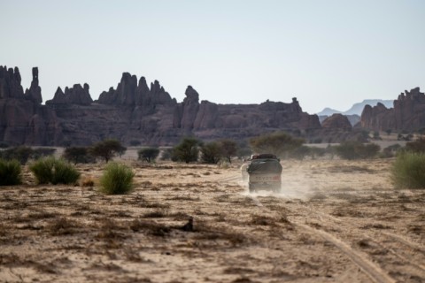 The Chadian government brought in the South African organisation African Parks to help run the reserve for 15 years