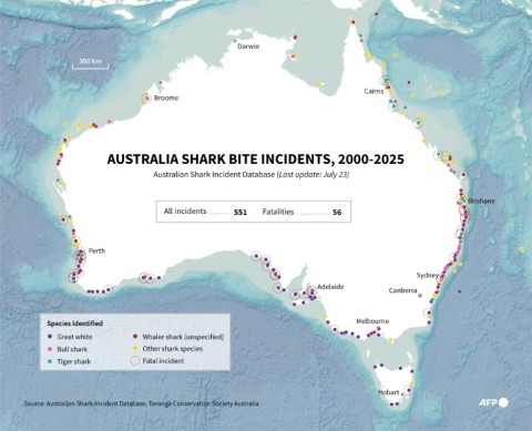 Shark bites around Australia