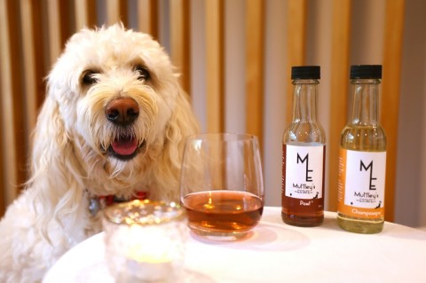 The range of dog tipples sold by the Auckland-based Muttley's Estate