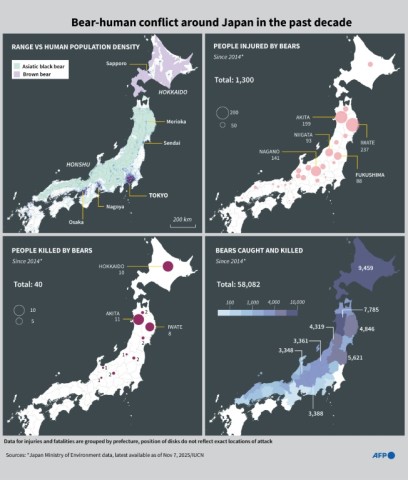 Bear-human conflict around Japan in the past decade