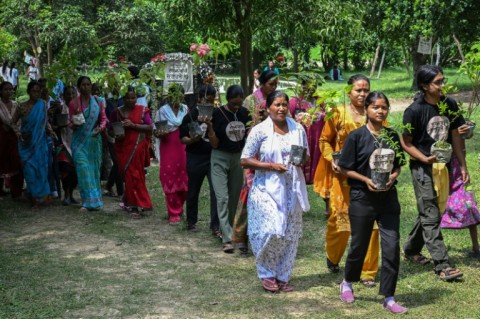 Relatives of people disappeared during the Nepal's civil war carry saplings for planting at a memorial park