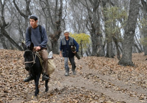 Average temperatures in Central Asia have risen by around twice the global average since 1991