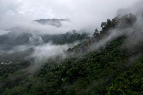 For centuries the Maniq, part of the wider Negrito ethnic lineage, lived as hunter-gatherers