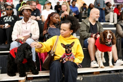 Nairobi dog lovers showed off their four-legged friends in an array of quirky, colourful outfits