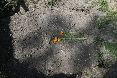 Flowers have been place on a mass grave at a cemetery in Mexico City, where thousands of unidentified bodies have been buried