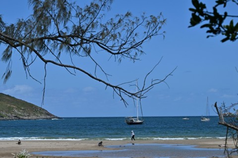 Beachgoers are protected by a sophisticated shark monitoring program