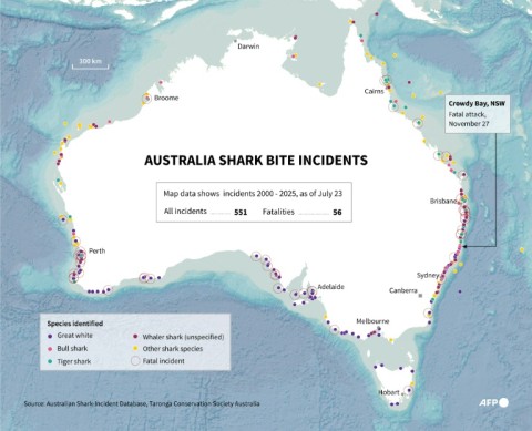More than 1,280 shark incidents have been recorded around Australia since 1791 -- about 260 of them fatal