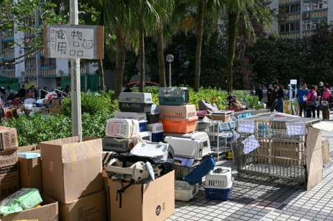 Boxes for pets are donated to help residents displaced by the Wang Fuk Court fire