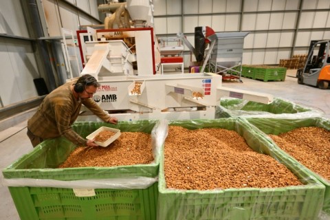 France has more than 2,700 hectares of almond trees