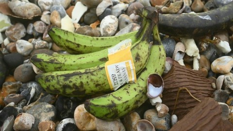 People help clean up hundreds of rotten bananas washed ashore in southern England