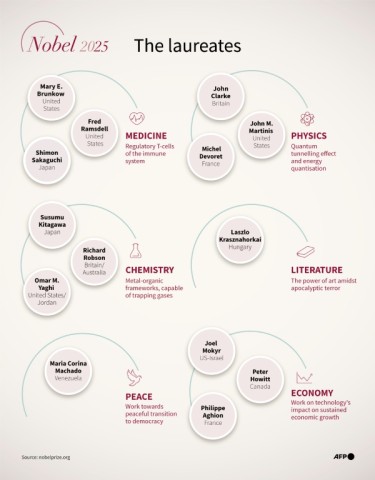 Infographic showing the laureates for the different Nobel prizes in 2025