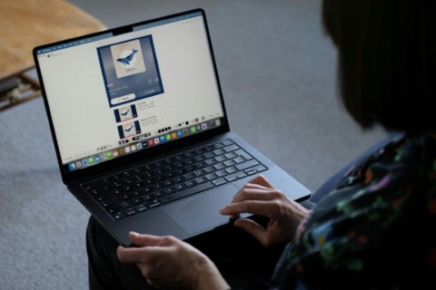 Portman believes that the fake album was uploaded to her profile by the scammers hoping to make money from downloads