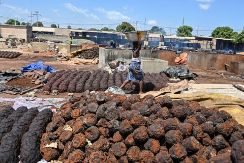 Ivorian sellers are struggling after Burkina Faso and Mali halted shea nut exports to boost local production