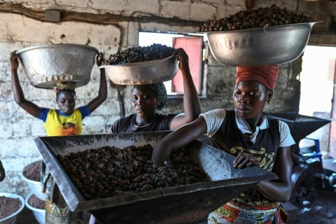Women rely on making a living from shea at the Chigata cooperative near Korhogo