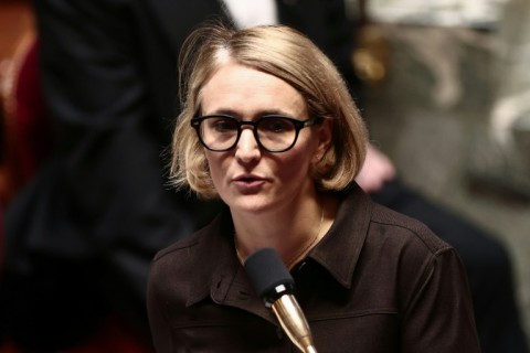 Junior minister Marie-Pierre Vedrenne did not approve