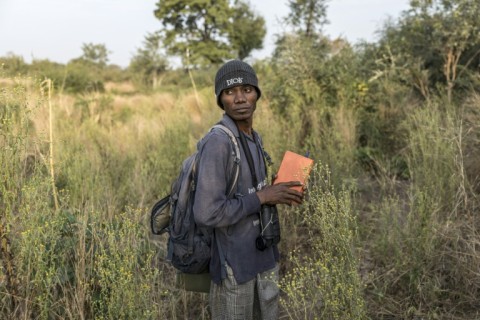 Researcher Jacques Tamba Keita followed the Fongoli chimps through their home range in southeast Senegal
