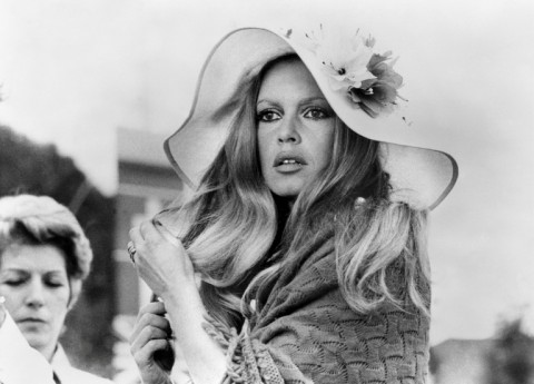 Bardot quit cinema in the 1970s to advocate for animals