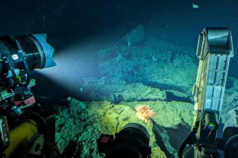 Every organism is releasing their DNA into their respective environment -- filtering those paints a picture of what has passed through