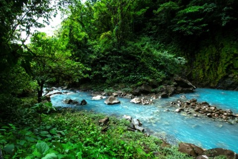 Nature reserves cover a quarter of Costa Rica's 51,000 square kilometers (19,700 square miles)
