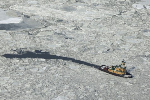 New York's Hudson River has frozen over during the recent bout of cold weather