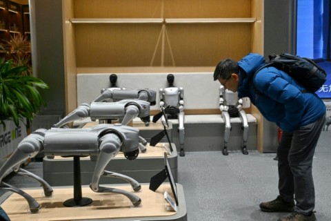 Robot dogs on display at Unitree's retail store in Beijing