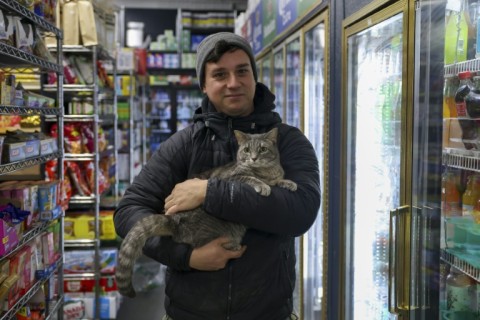 Dan Rimada created the Bodega Cats of New York Instagram page