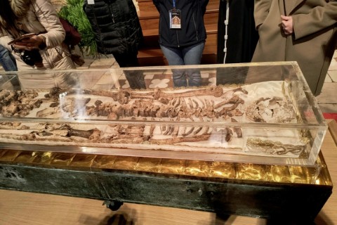 The remains of St. Francis of Assisi will be on display until March 22