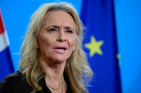 Foreign Minister Thorgerdur Katrin Gunnarsdottir told reporters she would present the proposal to parliament early next week