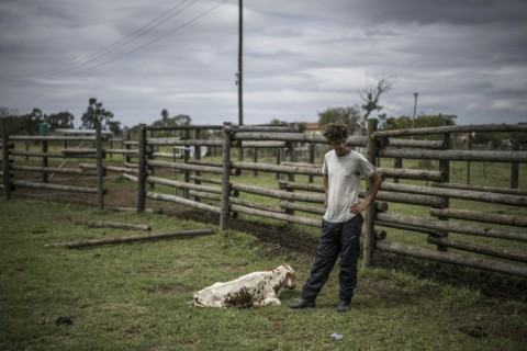 The government declared a foot-and-mouth emergency in February