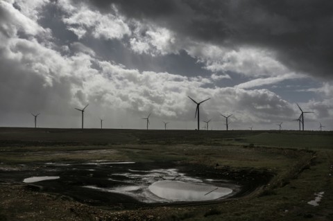 Humansdorp already suffered heavy losses during the previous foot-and-mouth crisis in 2024