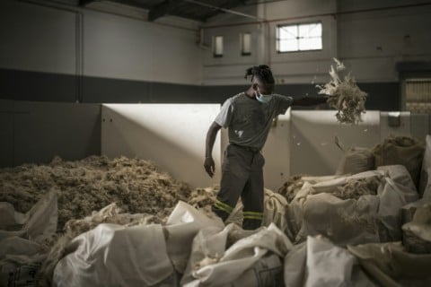South Africa accounted for 56 percent of global production of mohair in 2024
