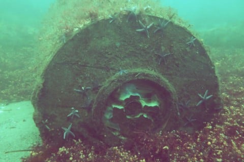 A WWII-era depth charge on the seafloor in a photo made available by the Kiel-based GEOMAR oceanographic research centre