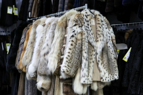 Part of the jump in interest in real fur stems from the "mob wife" aesthetic that's gone viral on TikTok in recent years, looks featuring flashy jewelry, animal prints, and fur coats