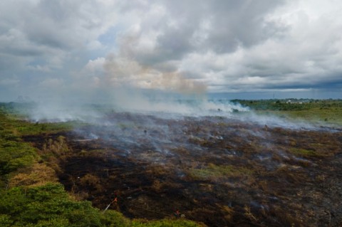 Indonesia battled devastating forest fires during a strong El Nino in 1997