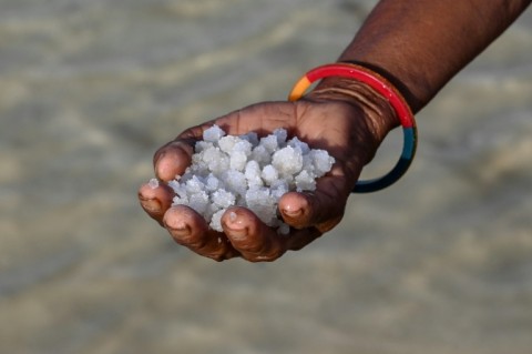 The salt is produced by pumping saline water from bore-wells into shallow pans, where the liquid evaporates under the sun and wind