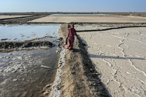 This year the India Meteorological Department (IMD) forecasts an "above-normal number of heatwave days" across several regions, including Gujarat