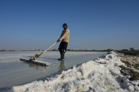 Up to 50,000 workers in Gujarat spend eight months on the remote salt pans without electricity or healthcare