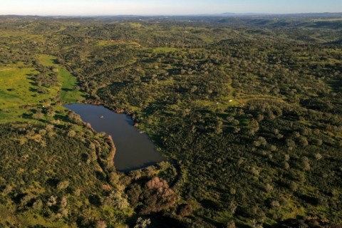 The Pangea Trust sanctuary in southern Portugal will take in up to 30 elephants from circuses and zoos across Europe where they can no longer perform